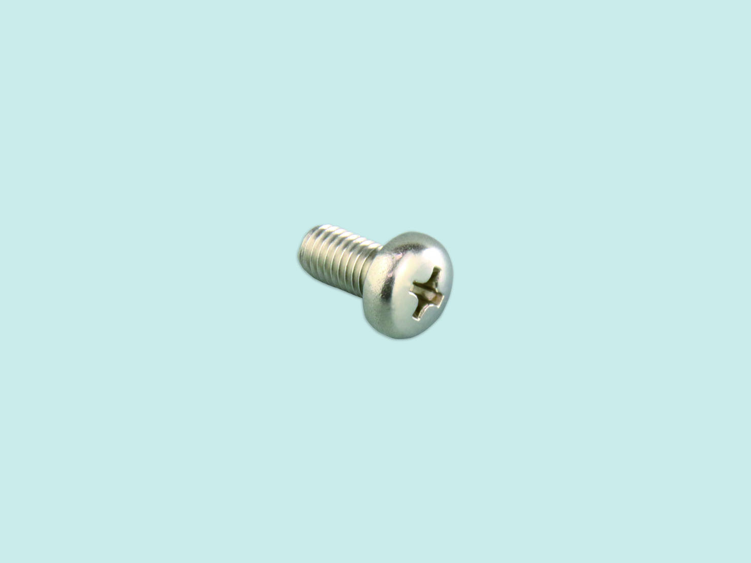Stainless Seal Screw